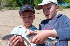 WhatsApp-Image-2025-05-22-à-14.32.19_dc644664