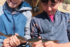 WhatsApp-Image-2025-05-22-à-14.32.20_1a445f95