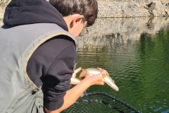 WhatsApp-Image-2025-10-02-à-15.10.15_f4c1c11a