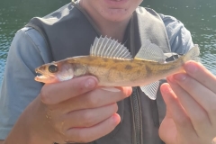 WhatsApp-Image-2025-10-02-à-15.10.16_60512005