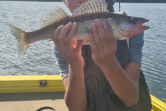 WhatsApp-Image-2025-10-02-à-15.10.16_70d63050