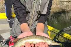 WhatsApp-Image-2025-10-02-à-15.10.16_dd2c17d3