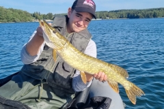 WhatsApp-Image-2025-09-26-à-09.54.49_45062f6b