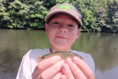 WhatsApp-Image-2025-07-04-à-09.49.17_5f9033db