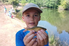 WhatsApp-Image-2025-07-04-à-09.49.17_cbc98c51