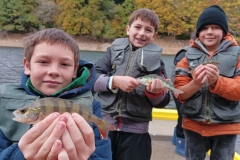 WhatsApp-Image-2025-10-30-à-09.18.32_634d5b8b