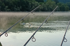 WhatsApp-Image-2025-06-30-à-10.16.18_33b6b200