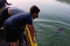 WhatsApp-Image-2025-06-30-à-10.16.19_7c728f56