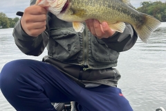 WhatsApp-Image-2025-10-07-à-16.51.00_4874fc8e