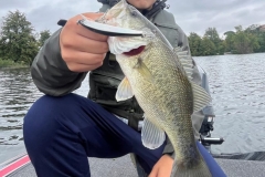 WhatsApp-Image-2025-10-07-à-16.51.02_93c7b624