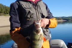 WhatsApp-Image-2025-10-14-à-13.48.42_b7f53649